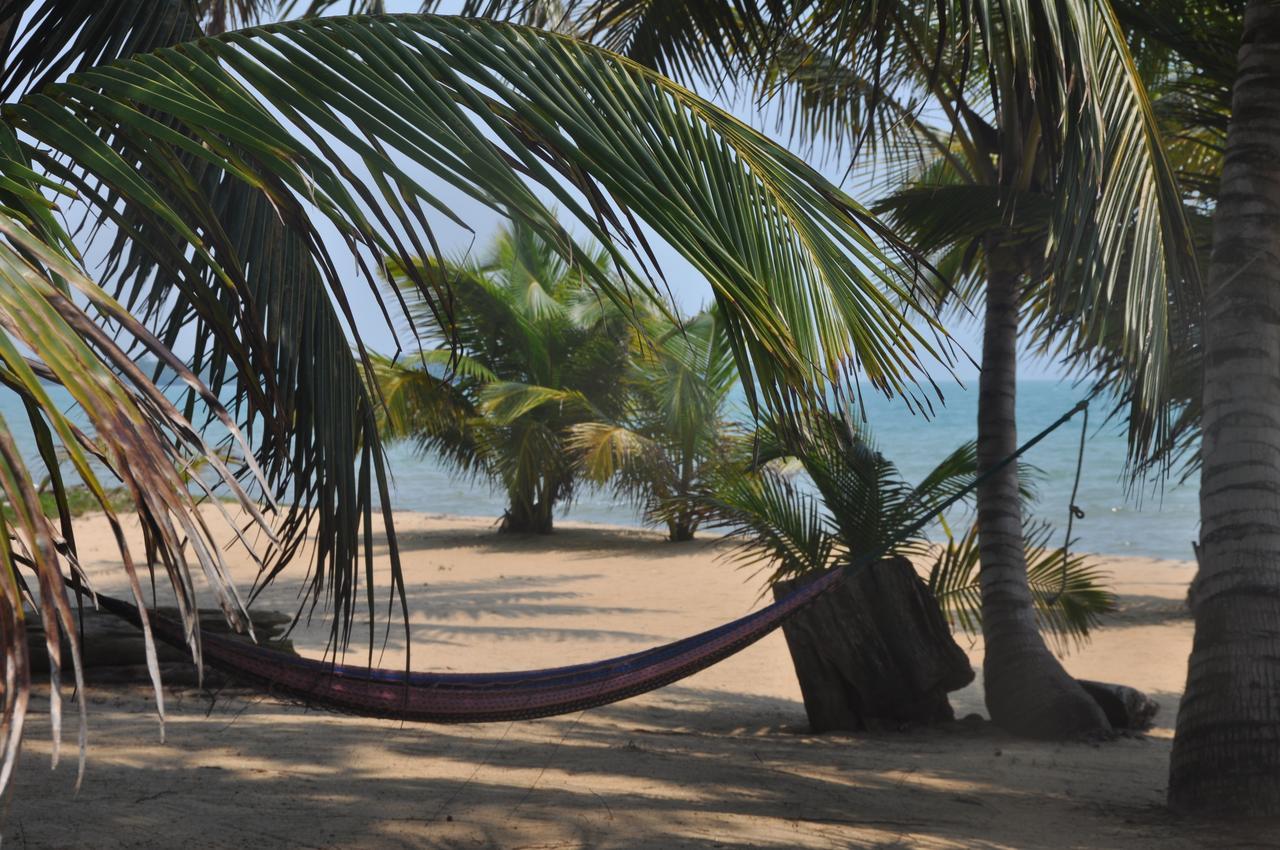 Sabal Beach Hotel Monkey River Town Ngoại thất bức ảnh