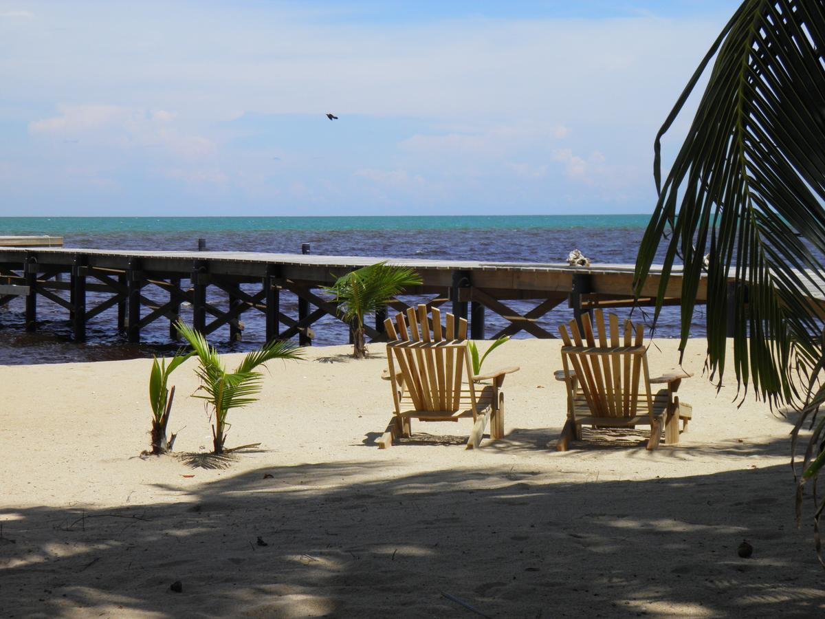 Sabal Beach Hotel Monkey River Town Ngoại thất bức ảnh