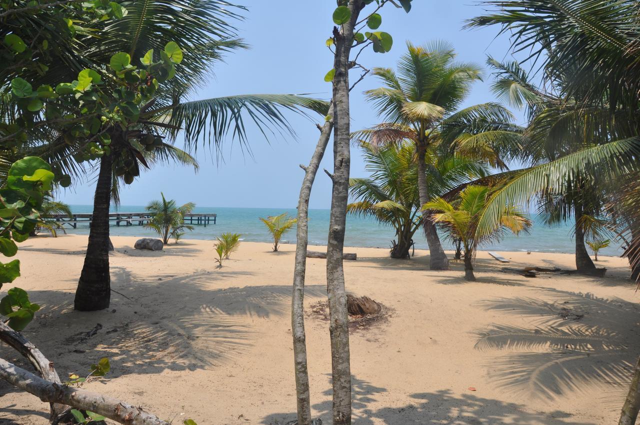 Sabal Beach Hotel Monkey River Town Ngoại thất bức ảnh