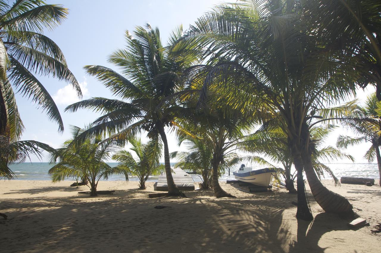 Sabal Beach Hotel Monkey River Town Ngoại thất bức ảnh