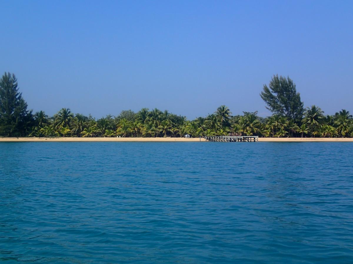 Sabal Beach Hotel Monkey River Town Ngoại thất bức ảnh